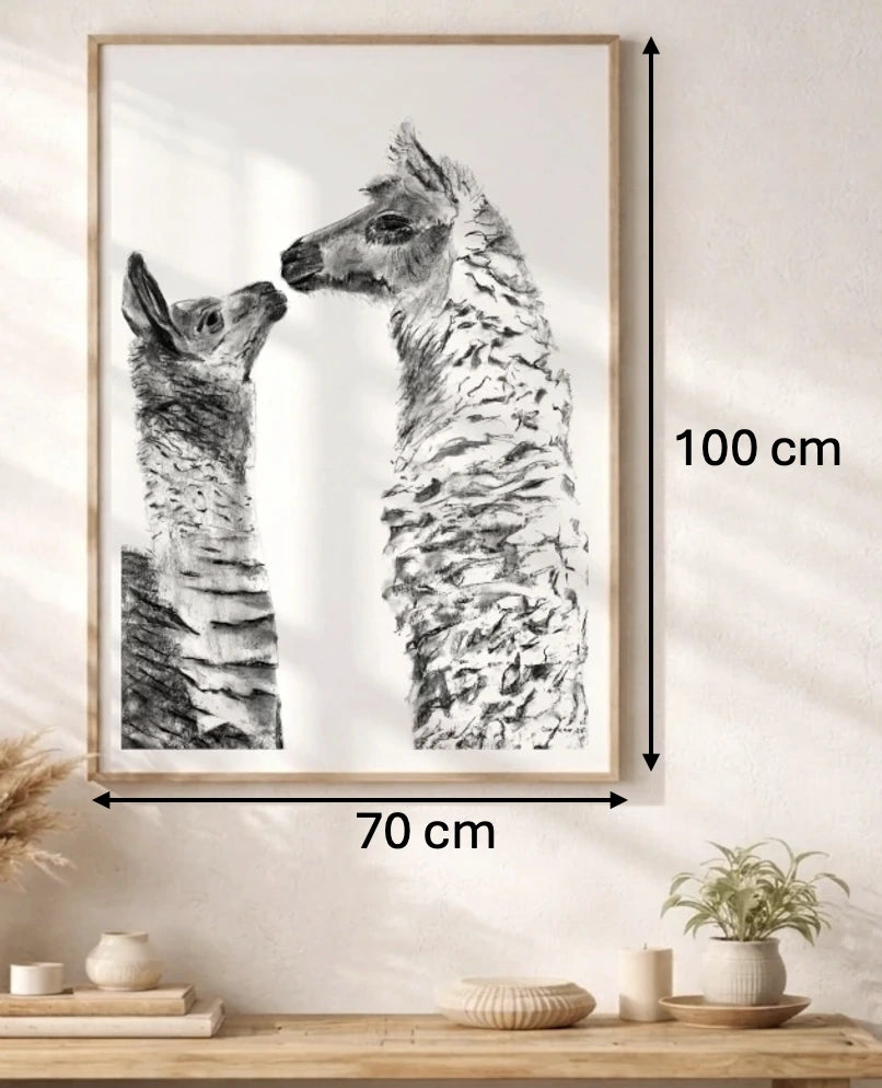 Alpacas