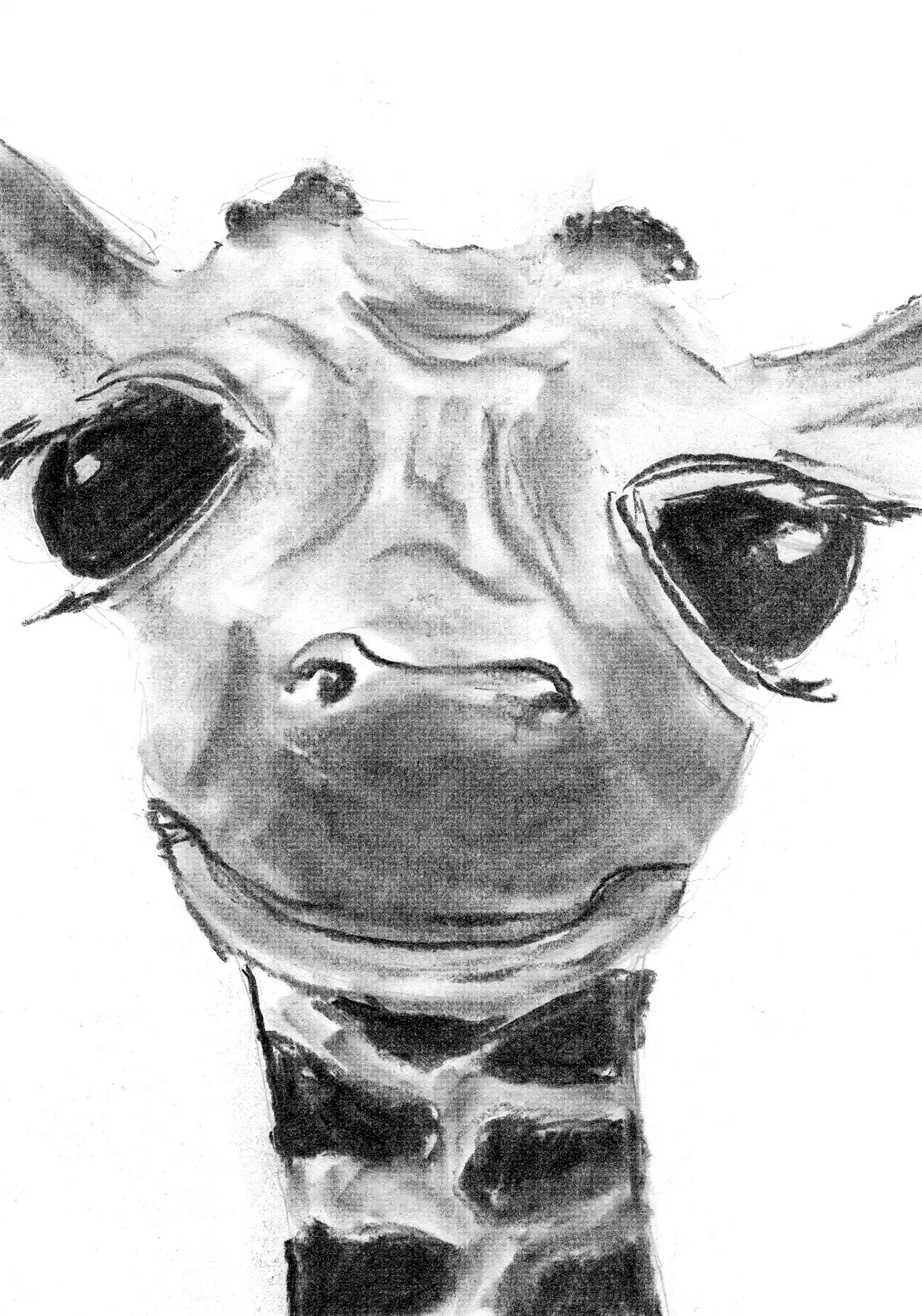 Giraffe Baridi