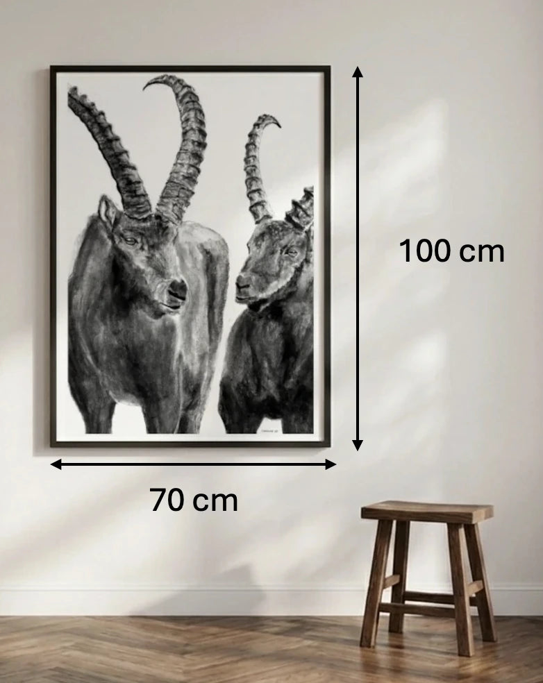 Ibexes of the Engadin