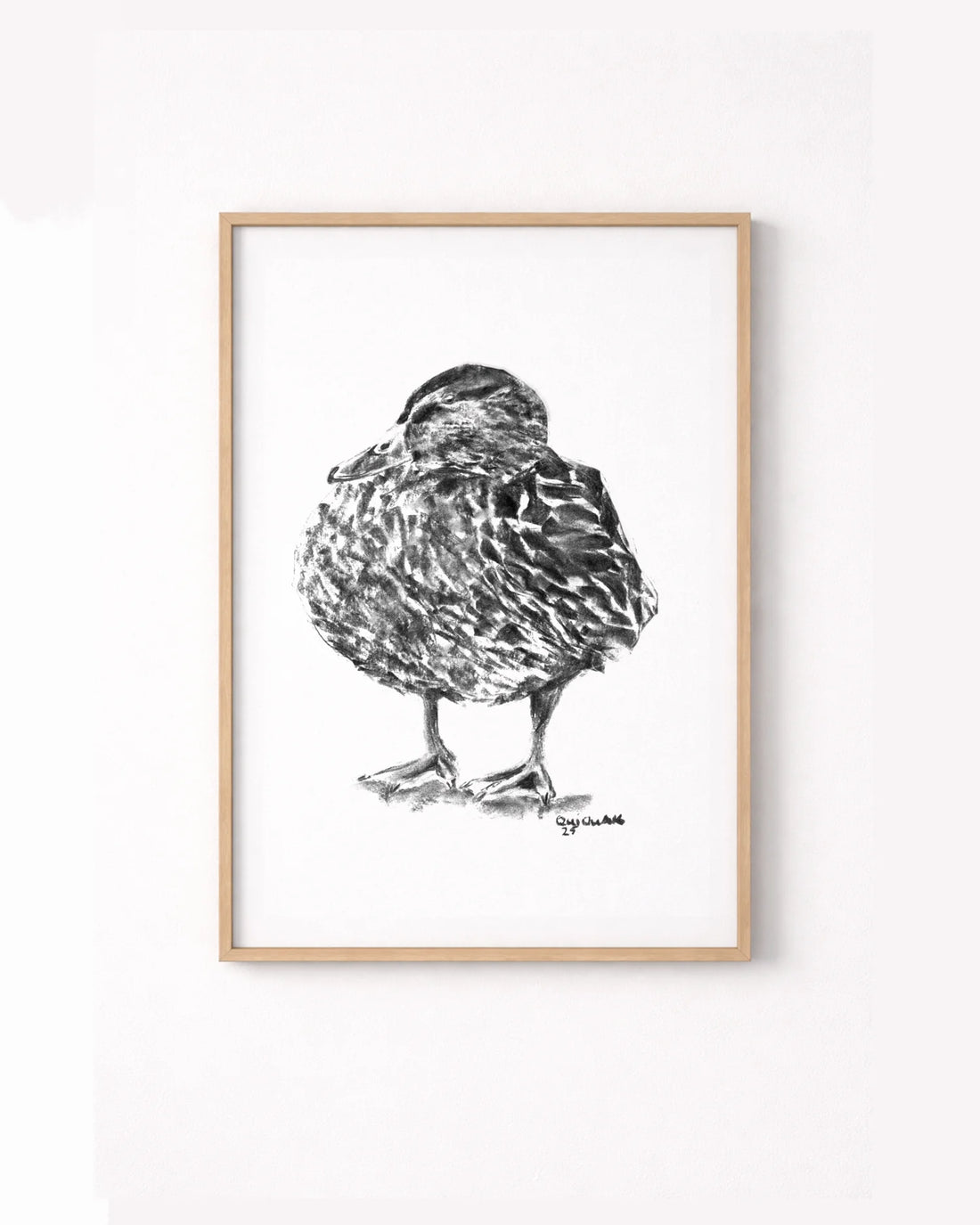 Ente Quack