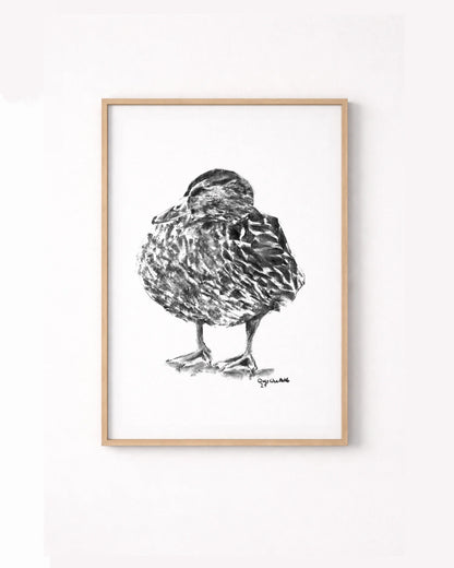 Duck Quack