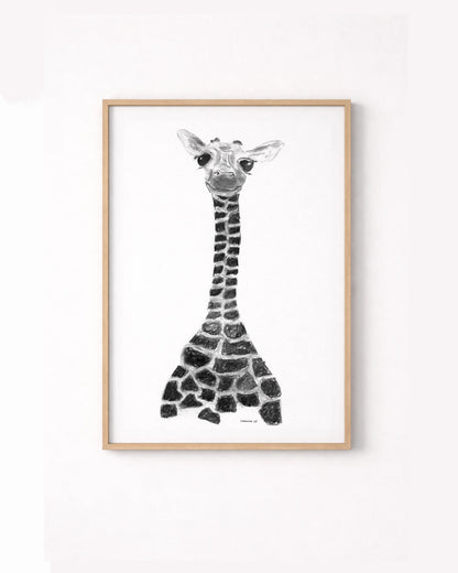 Giraffe Baridi