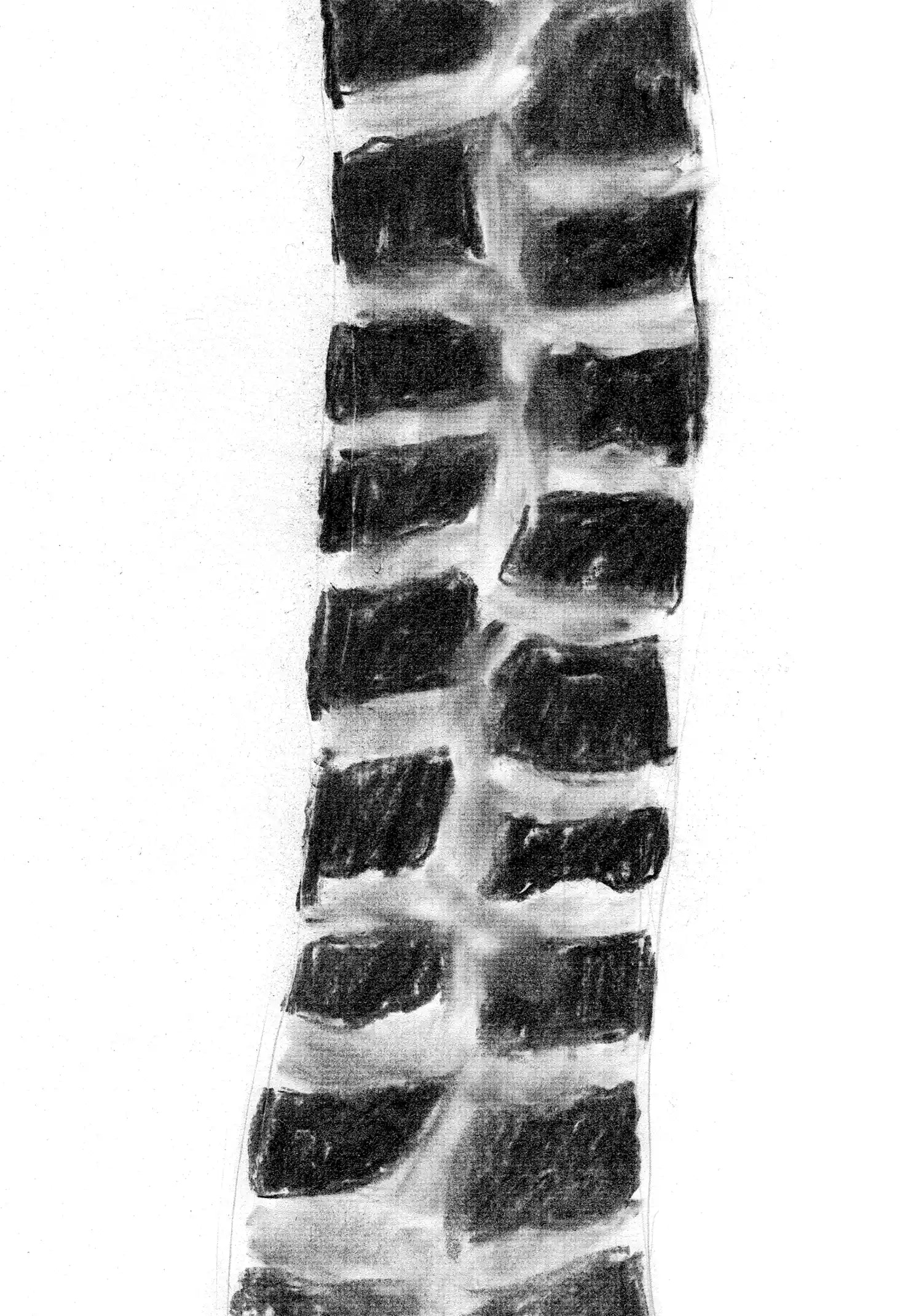 Giraffe Baridi