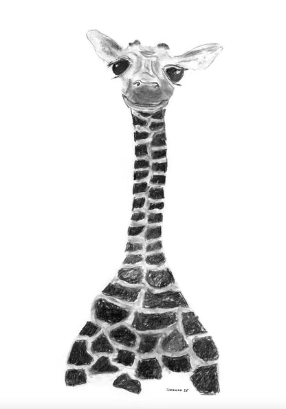 Giraffe Baridi