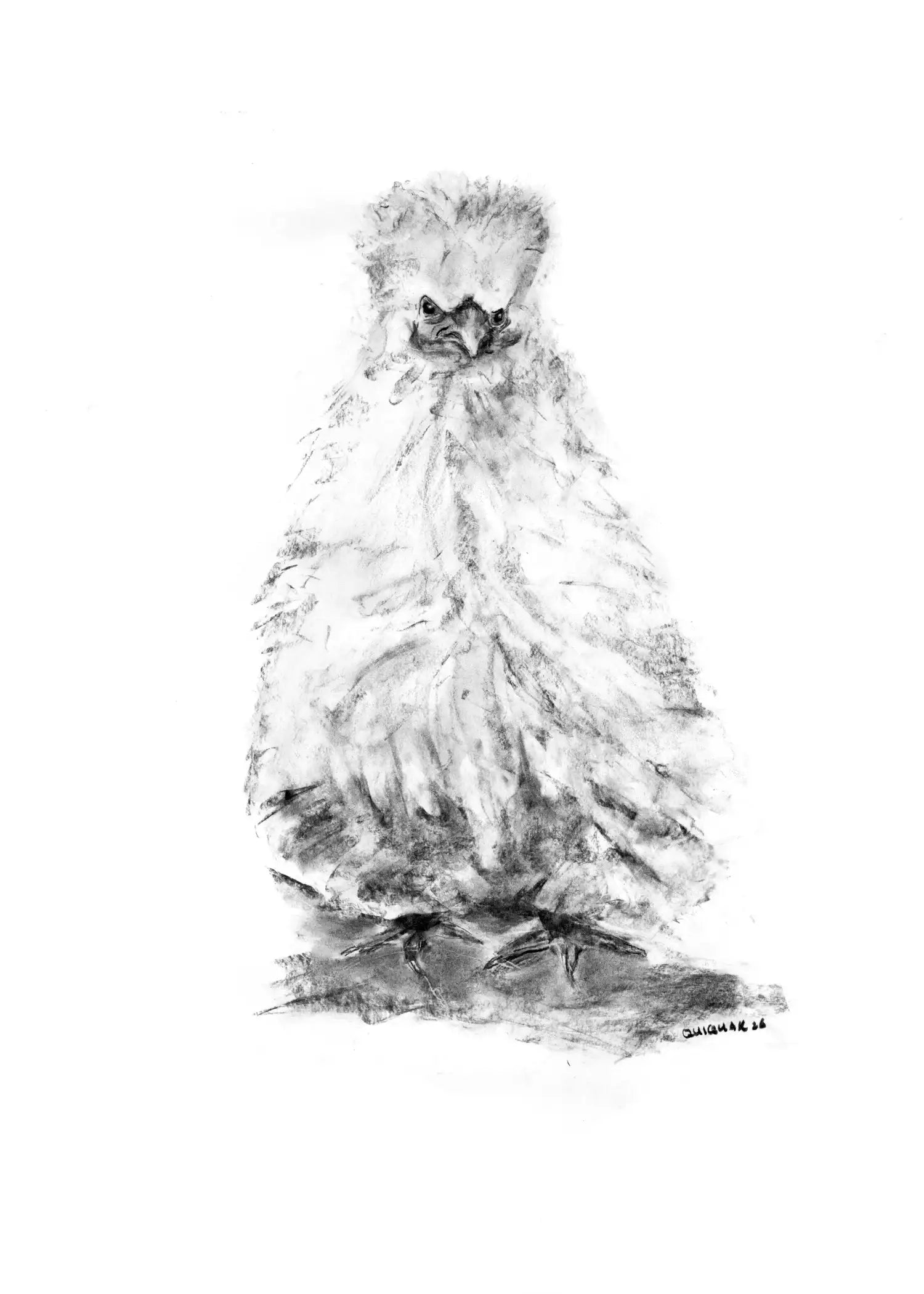 Mentawai Chicken