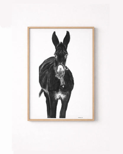 The Mule