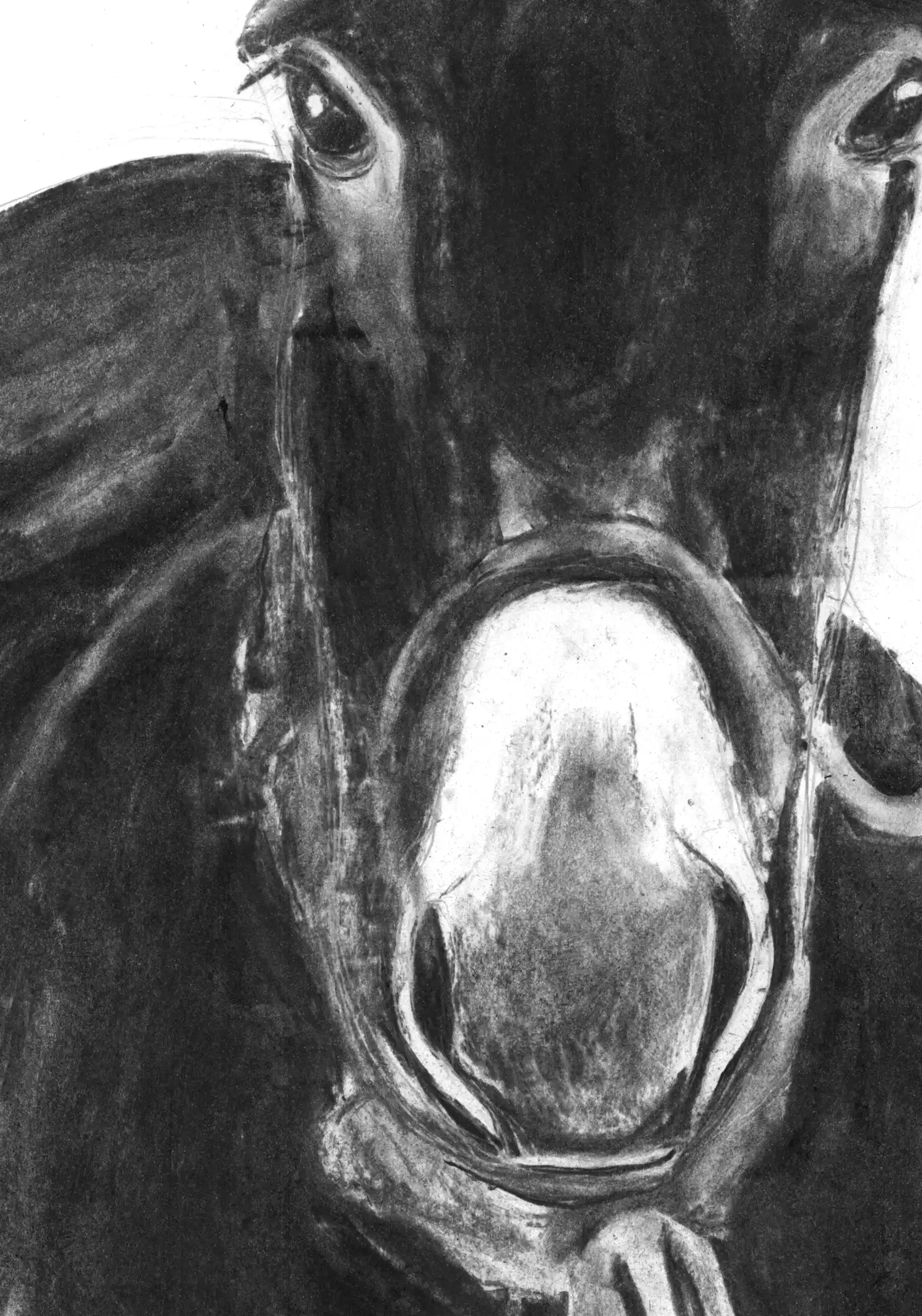 The Mule