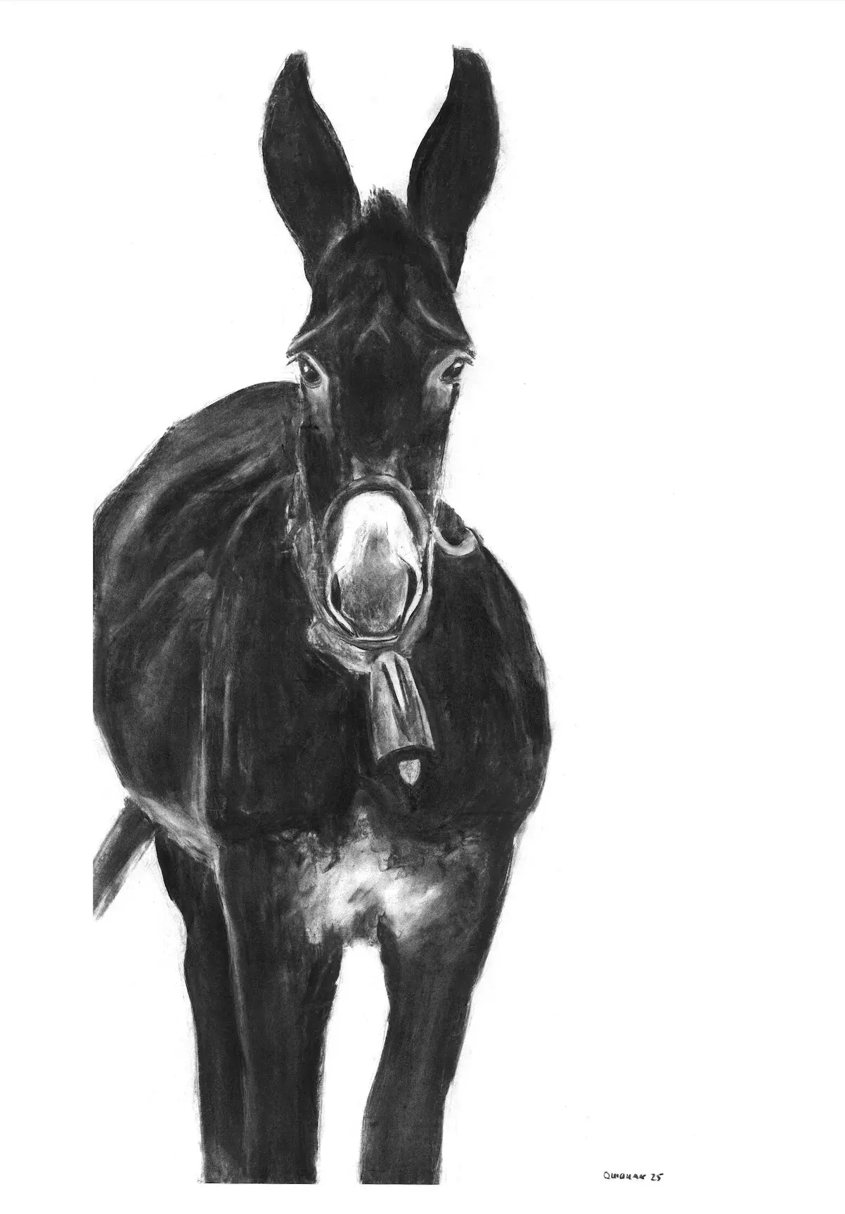 The Mule
