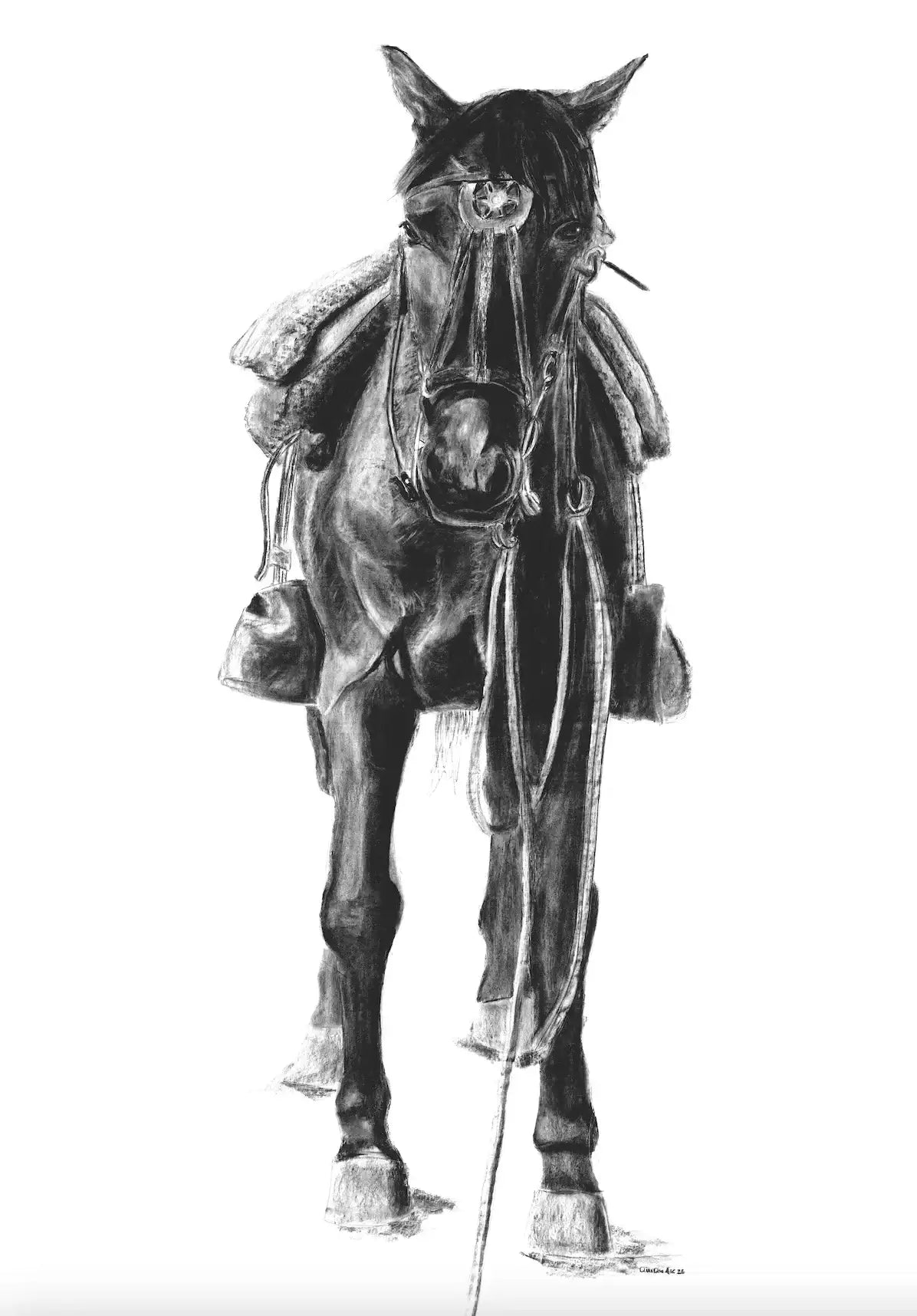 My Horse Santiago and the Wild Race