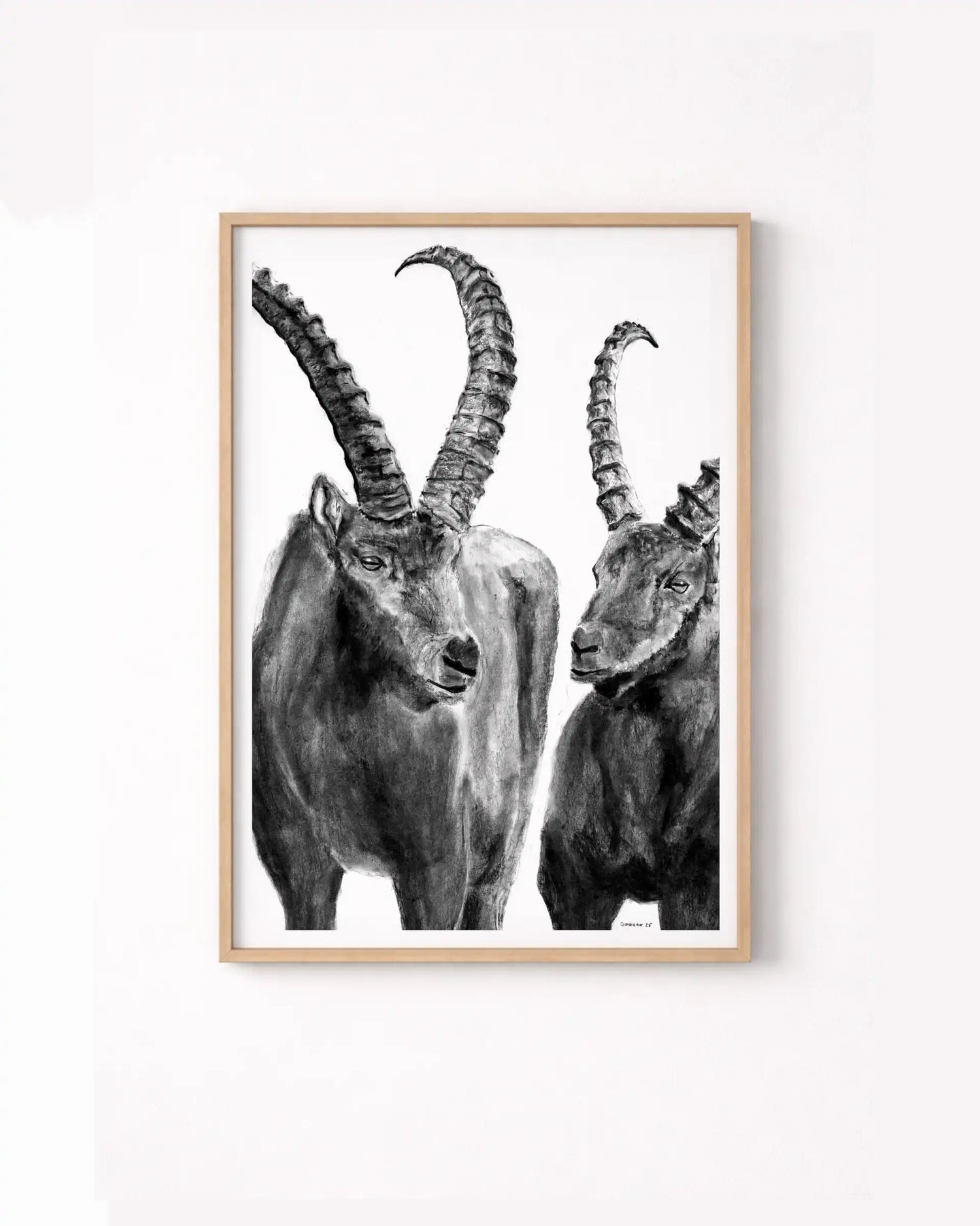 Ibexes of the Engadin