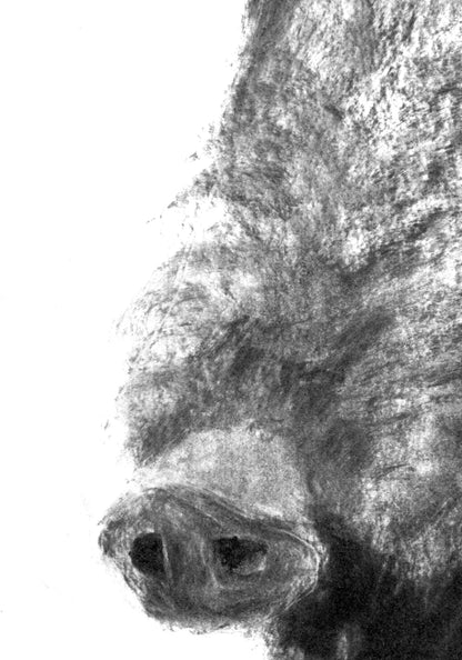 Das Wildschwein