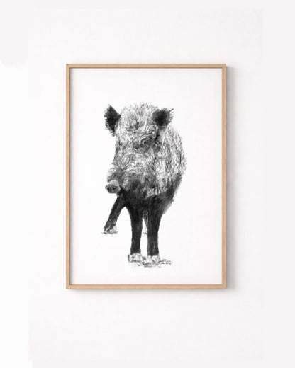 Das Wildschwein
