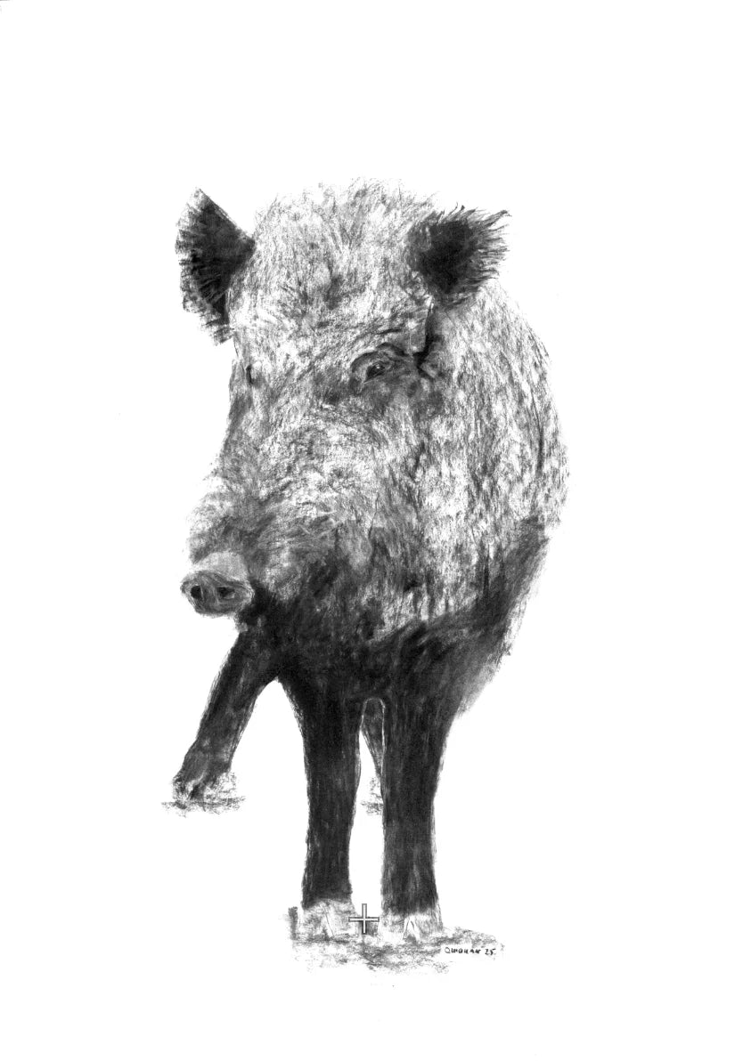 Das Wildschwein