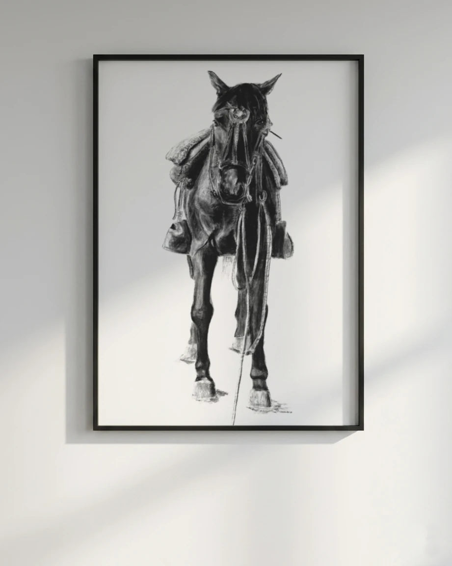 My Horse Santiago and the Wild Race