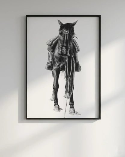 My Horse Santiago and the Wild Race